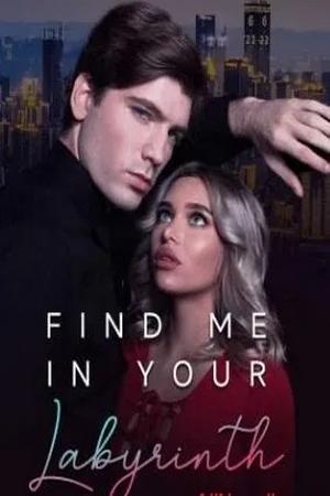 Find Me In Your Labyrinth pdf